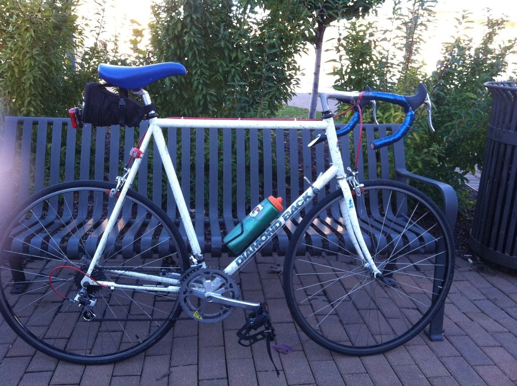 Show Us Your Vintage Diamond Backs! - Page 2 - Bike Forums Show Us Your Vintage Diamond Backs! - Page 2 - Bike Forums
